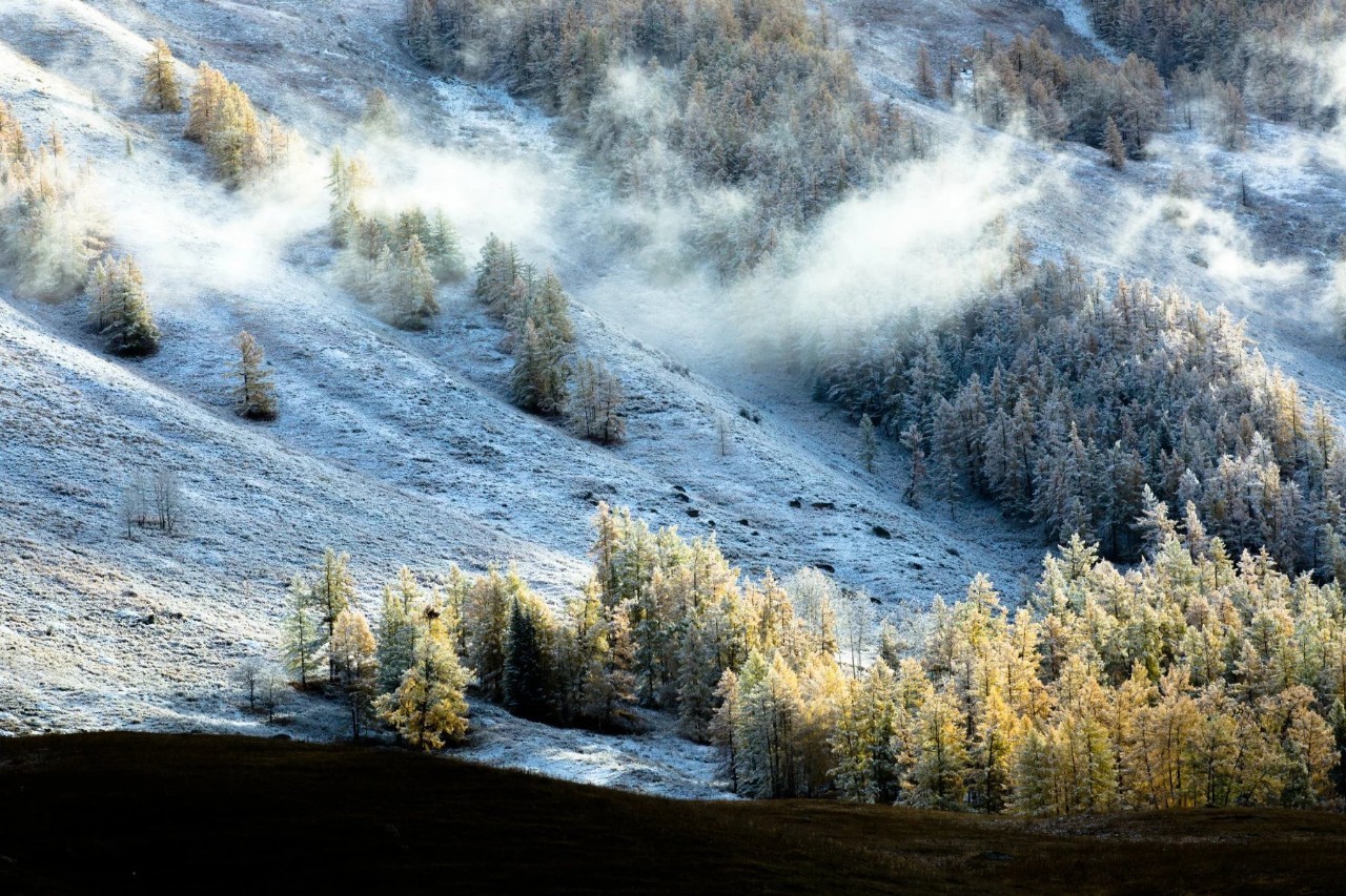 丝绸之路上的新疆，璀璨明珠的播音稿篇章